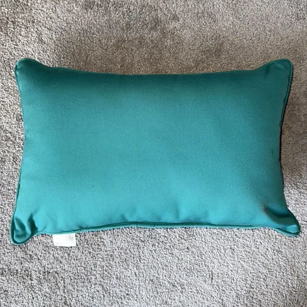 Grandin Road Outdoor Pillow!